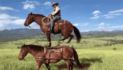 人物面部、服饰等特征也可以或许保